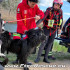 ELITE BAGS RESCUE’S DOG RETTUNGSWESTE