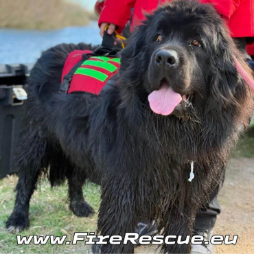 OPRSNICA ELITE BAGS RESCUE DOG