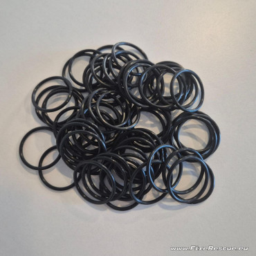 PASTOR FIRE EXTINGUISHER HEAD GASKET (120 PCS)