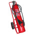 PII FIRE EXTINGUISHER CARBON DIOXIDE (CO2) 30 KG