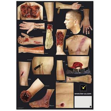 TEE-UU PATTERN OF INJURIES FOR ADULT TRAINING DUMMY (36 PCS)