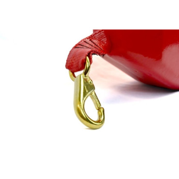 LIFEGUARD RESCUE TUBE