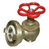 FIRE VALVE 1" MT