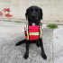 FIRST AID KIT FOR WORKING DOG GUIDES