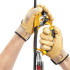 PETZL  ASCENSION AUSTAUSCHSEILKLEMME MIT REIBNOCKEN