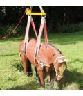 LARGE ANIMAL RESCUE LIFTING BEAM - SET 2
