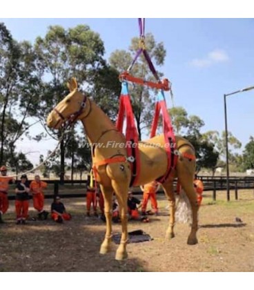 LARGE ANIMAL RESCUE LIFTING BEAM - SET 2