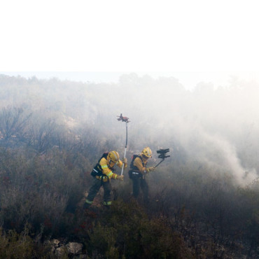 VALLFIREST VF ALASKA WALDBRANDPATSCHE