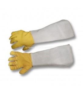 PROTECTIVE GLOVES PLUS