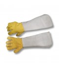 PROTECTIVE GLOVES PLUS