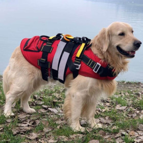 DOG LIFE JACKET DELPHIN