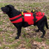 DOG LIFE JACKET DELPHIN