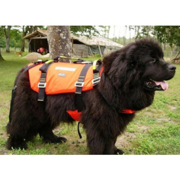 DOG LIFE JACKET / CLIMBING HARNESS SHARK