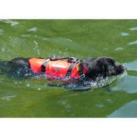 HUNDESCHWIMWESTE / KLETTERGURT FUR HUNDE SHARK