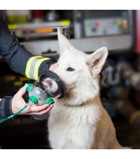 OXYGEN MASKS FOR ANIMALS SET