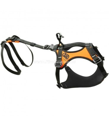 KONG HARIA RETTUNGSHUNDEGURT