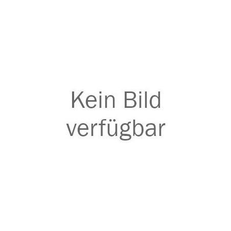PII FEUERLÖSCHER ABC PULVER 6 KG